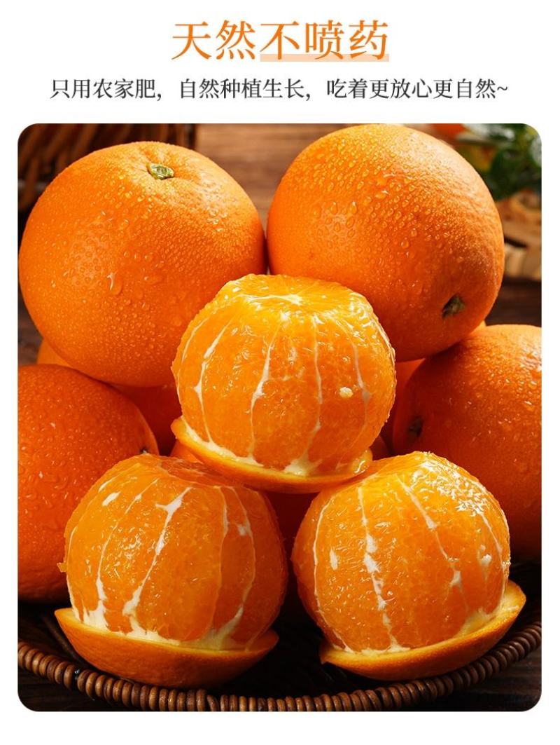 秭归脐橙湖北宜昌橙子新鲜水果当季榨汁橙纽荷尔