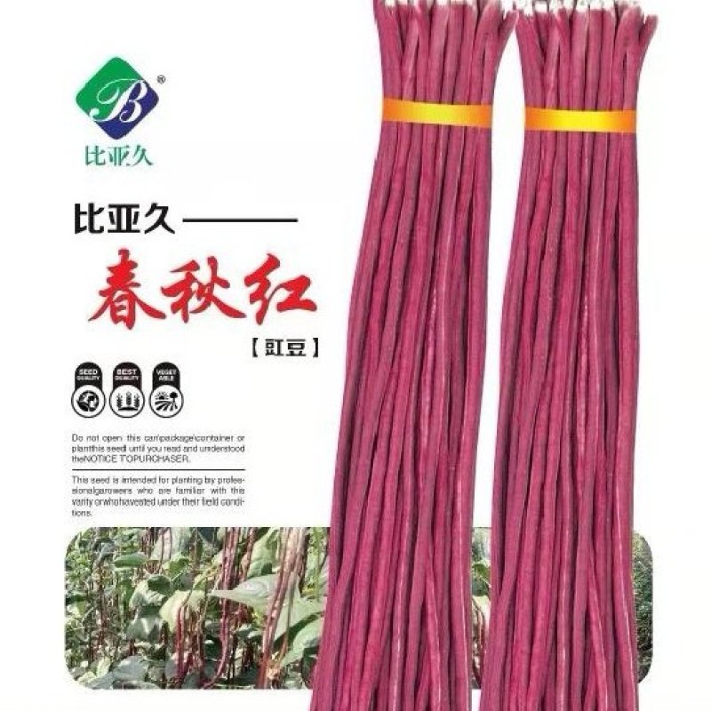 红豇豆种子春秋红红色长豇豆品种无筋软糯清香耐热高产