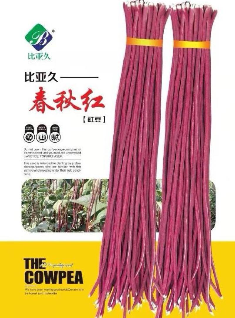 红豇豆种子春秋红红色长豇豆品种无筋软糯清香耐热高产