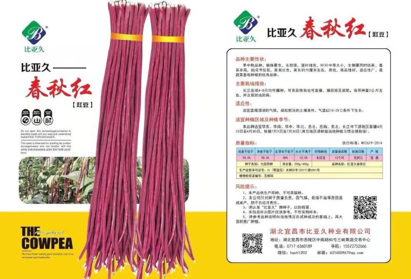 红豇豆种子春秋红红色长豇豆品种无筋软糯清香耐热高产