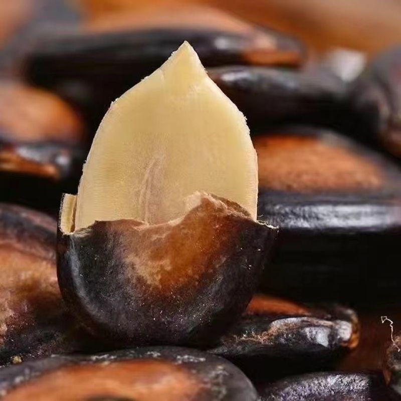 特价大片话梅味西瓜子五香味，湿瓜子小零食甜瓜子甜味瓜子