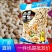 2022年新品烤花生带壳小珍珠花生花生坚果休闲食品5