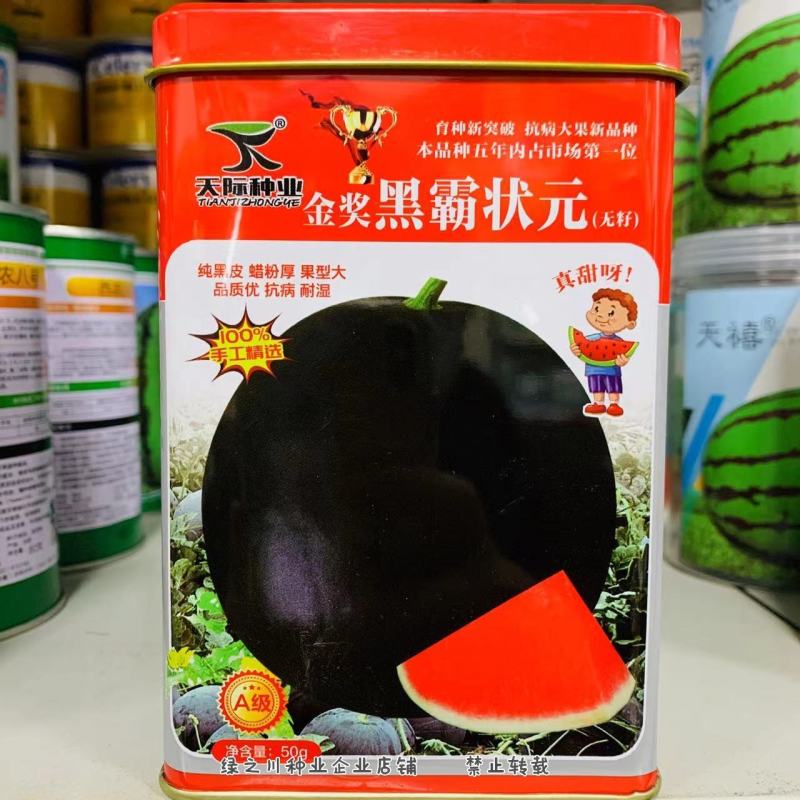 纯黑皮蜡粉厚大果黑无籽西瓜种子黑老大黑霸状元皮薄抗病
