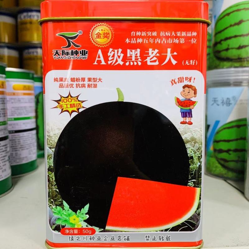 纯黑皮蜡粉厚大果黑无籽西瓜种子黑老大黑霸状元皮薄抗病