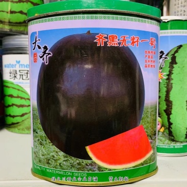 齐黑无籽一号西瓜种子正圆形黑皮无籽西瓜种子大红瓤皮硬