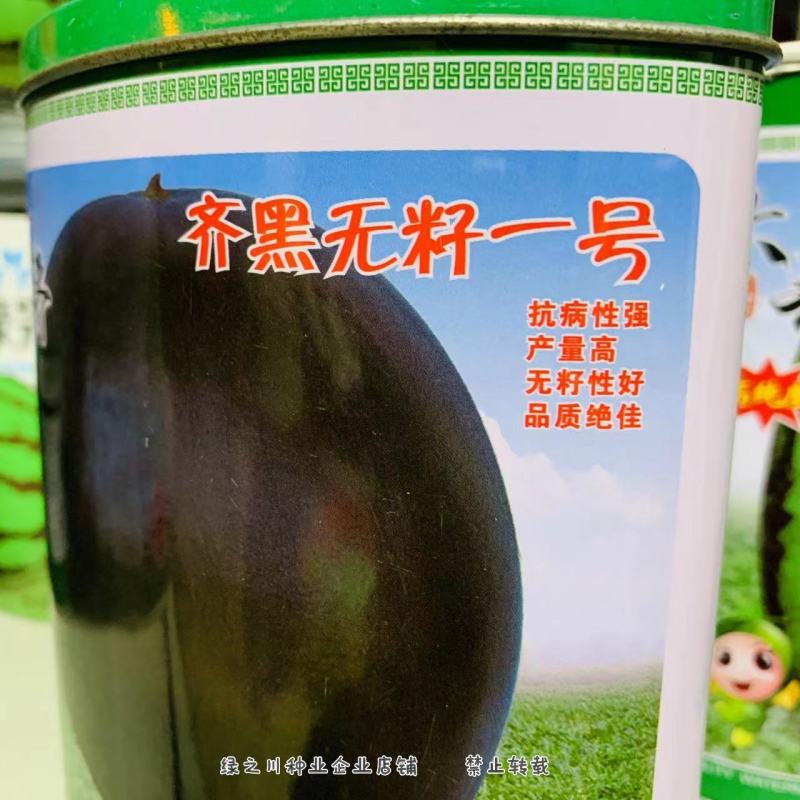 齐黑无籽一号西瓜种子正圆形黑皮无籽西瓜种子大红瓤皮硬
