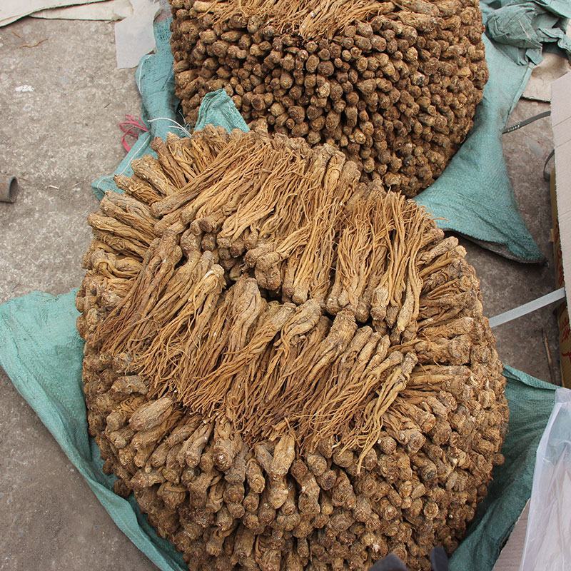 甘肃定西岷县当归原色原味无硫当归条产地供货量大从优