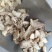 干姜干姜片药用调料各种中药材批发质量保证