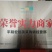 山东水果萝卜绿萝卜商超，电商平台，水洗加工