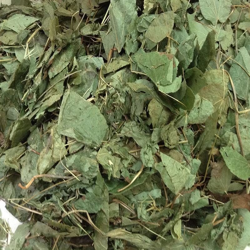 淫羊藿高含量淫羊藿叶干货批发产地供货一手货源
