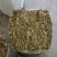 椴树花高含量晒干无杂质产地供应质量保障