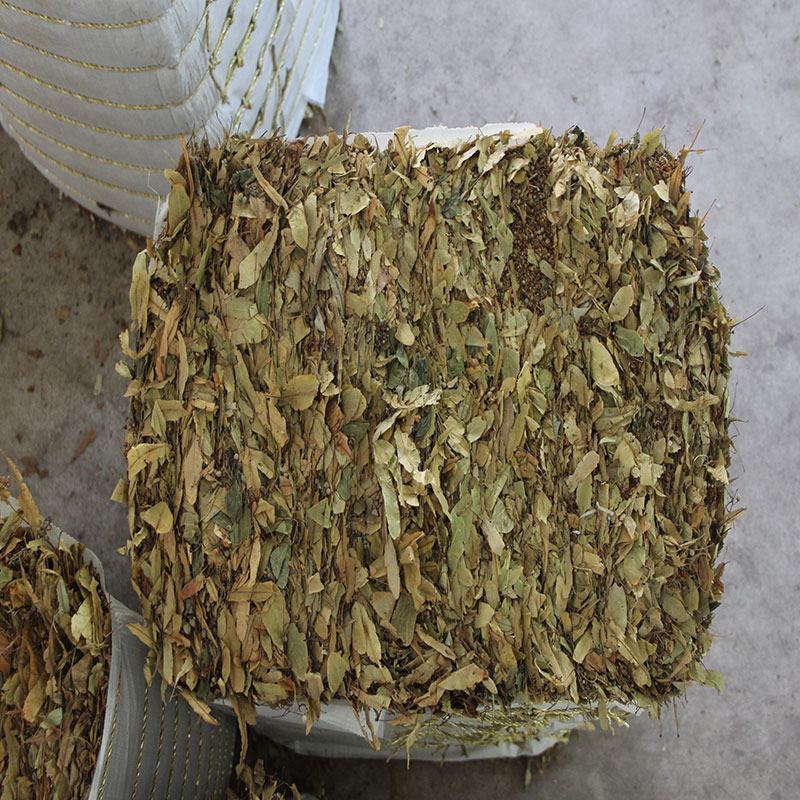 椴树花高含量晒干无杂质产地供应质量保障