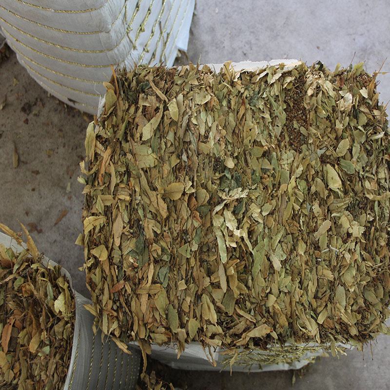 椴树花高含量晒干无杂质产地供应质量保障