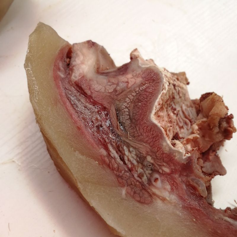 牛头肉质量保证欢迎老板进行采购价格优惠支持看货批发