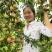 晚熟黄金李