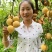 晚熟黄金李