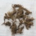 缬草缬草根满山香根干货大货批发量大从优