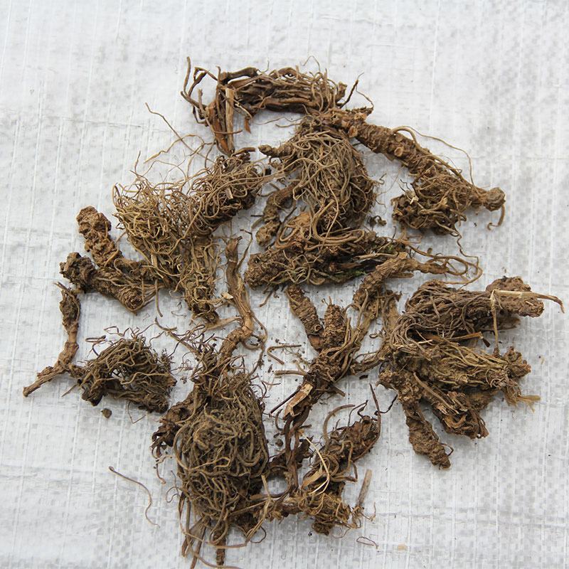缬草缬草根满山香根干货大货批发量大从优
