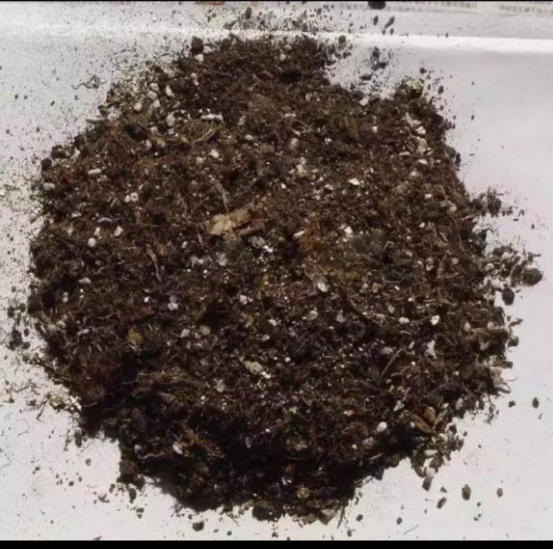 营养土，合适各类绿化苗，花卉等种植用土，无病虫害保水透气