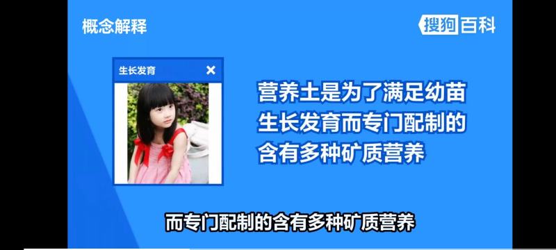 营养土，合适各类绿化苗，花卉等种植用土，无病虫害保水透气
