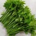 益肝菜（海南野菜）树仔菜五指山野菜全国发货
