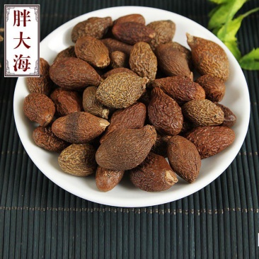 胖大海，泡茶胖大海支持零售批发量大从优正品保证