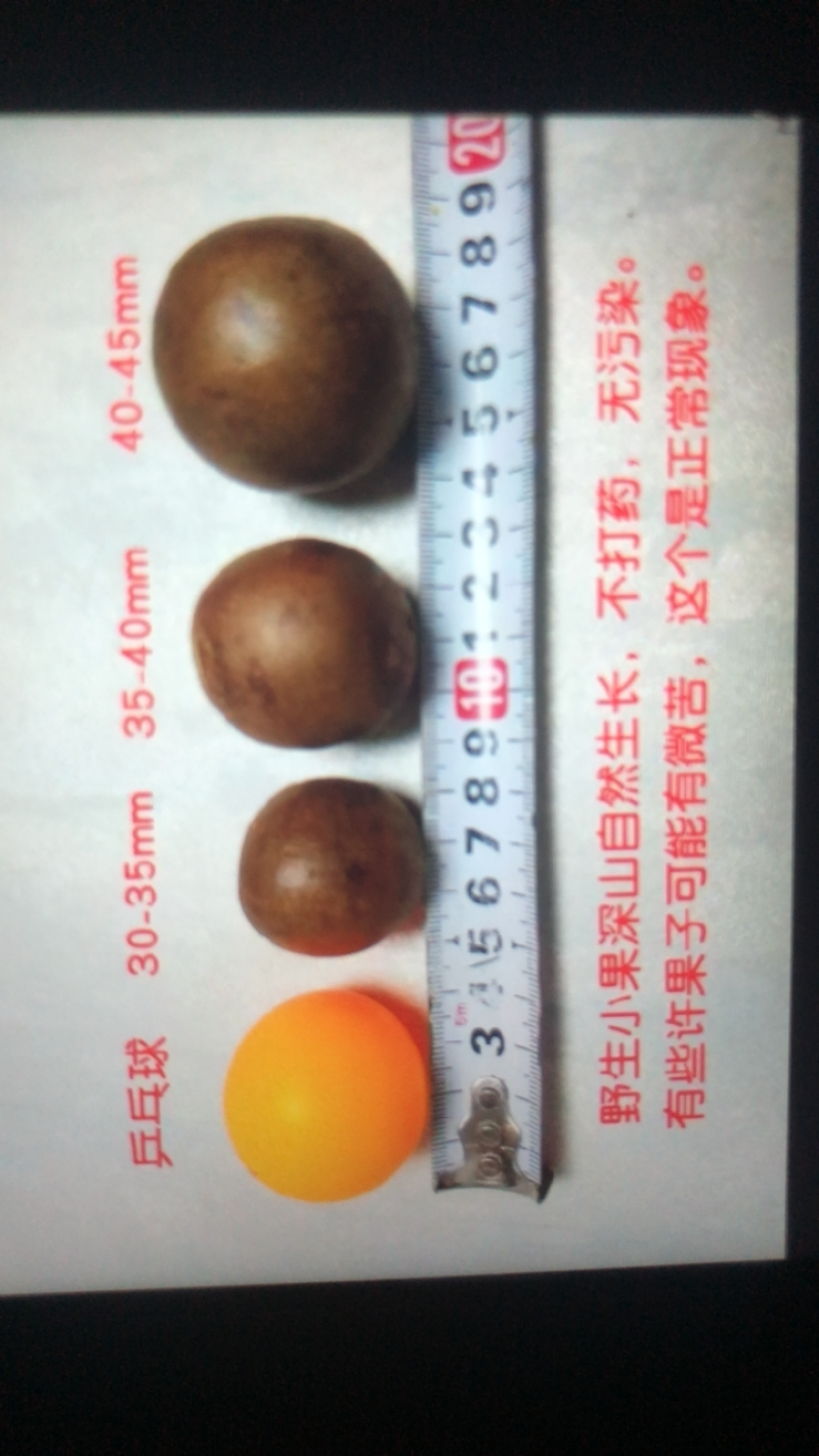 罗汉果新鲜采摘产地直发量大优惠全国发货包邮