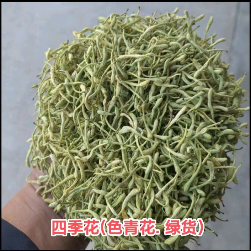 金银花(优质精选金银花)(北花金银花四季花金银花)
