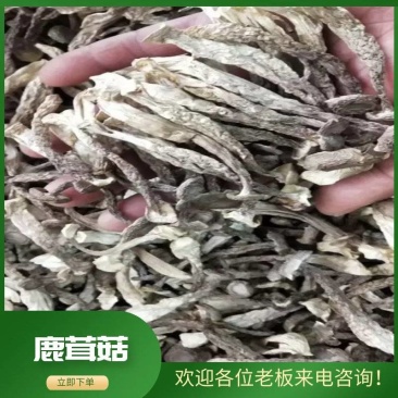 优质的鹿茸大量批发，欢迎来店选购各种规格都有，量大从优