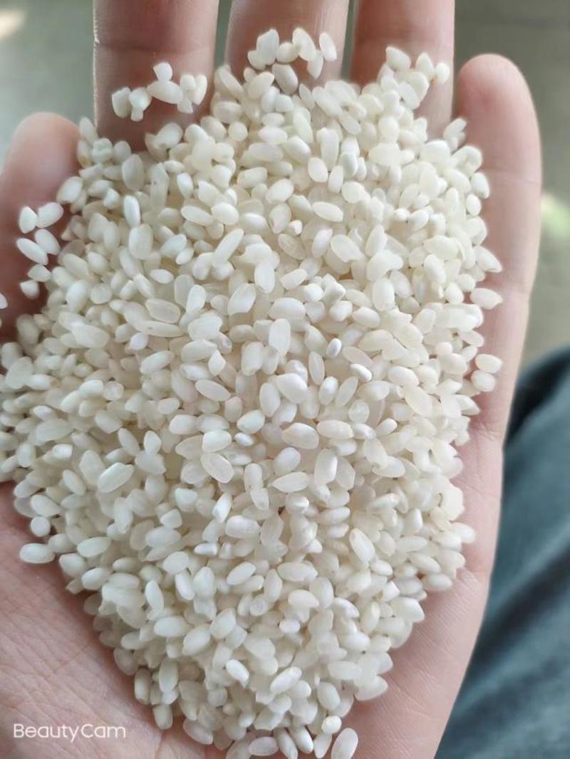 东北大米食堂用米