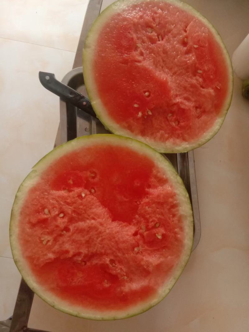 纯黑皮蜡粉厚大果黑无籽西瓜种子黑老大黑霸状元皮薄抗病
