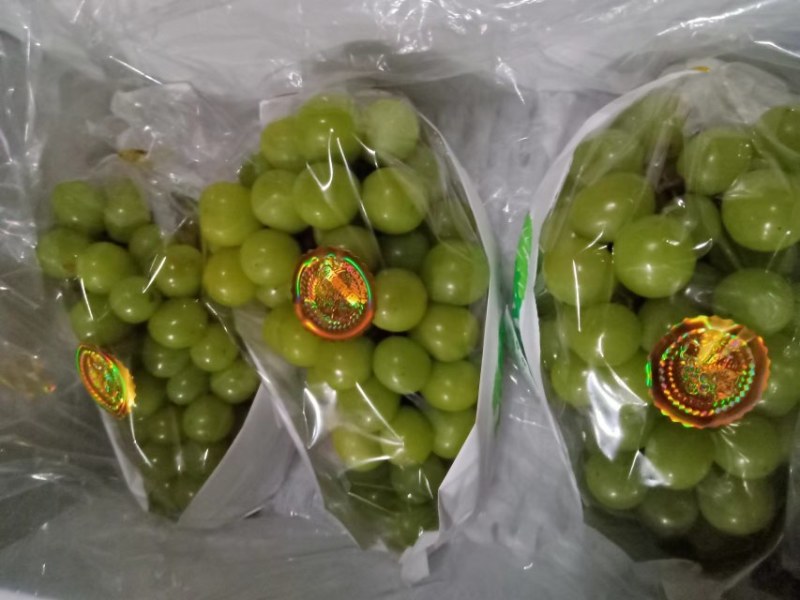 河北阳光玫瑰品质保证诚信经营欢迎联系接商超市场电商