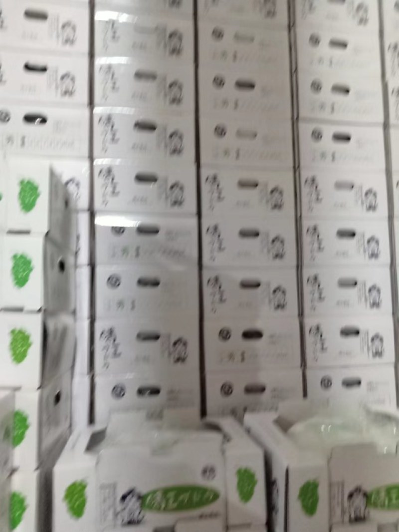 河北阳光玫瑰品质保证诚信经营欢迎联系接商超市场电商