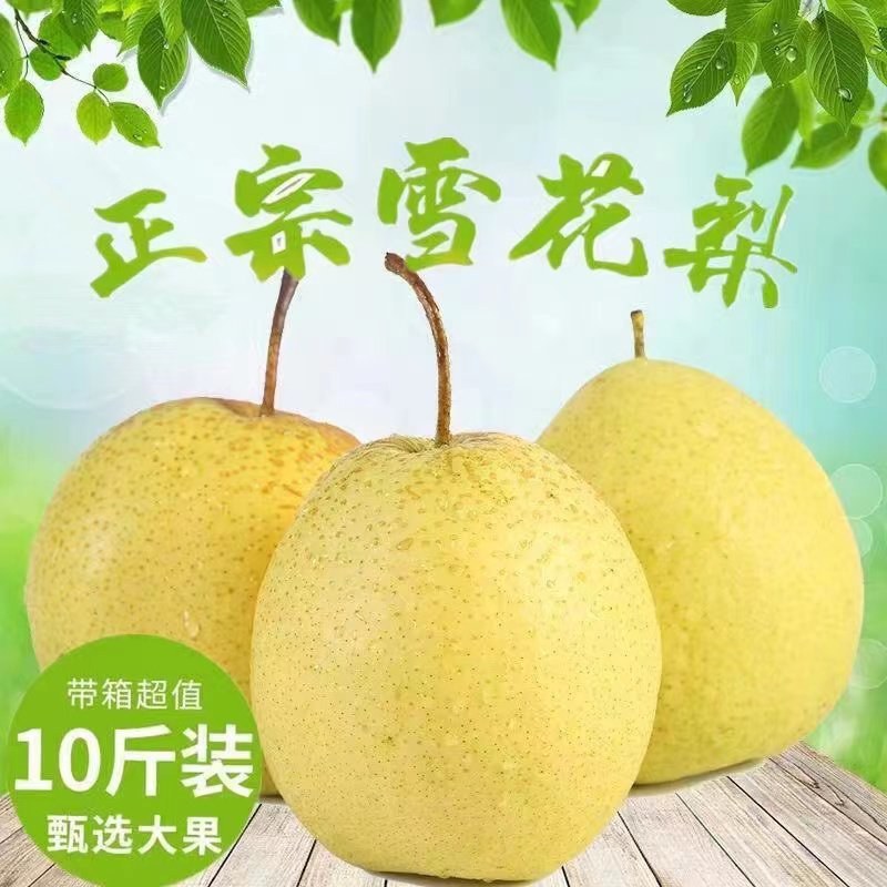 河北雪花梨，翠甜可口，货源充足，欢迎联系接商超市场电商