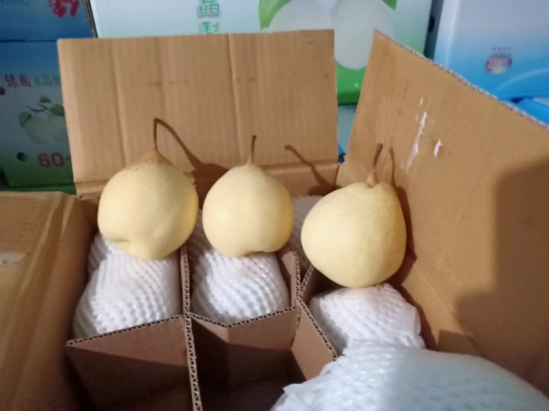 河北雪花梨，翠甜可口，货源充足，欢迎联系接商超市场电商