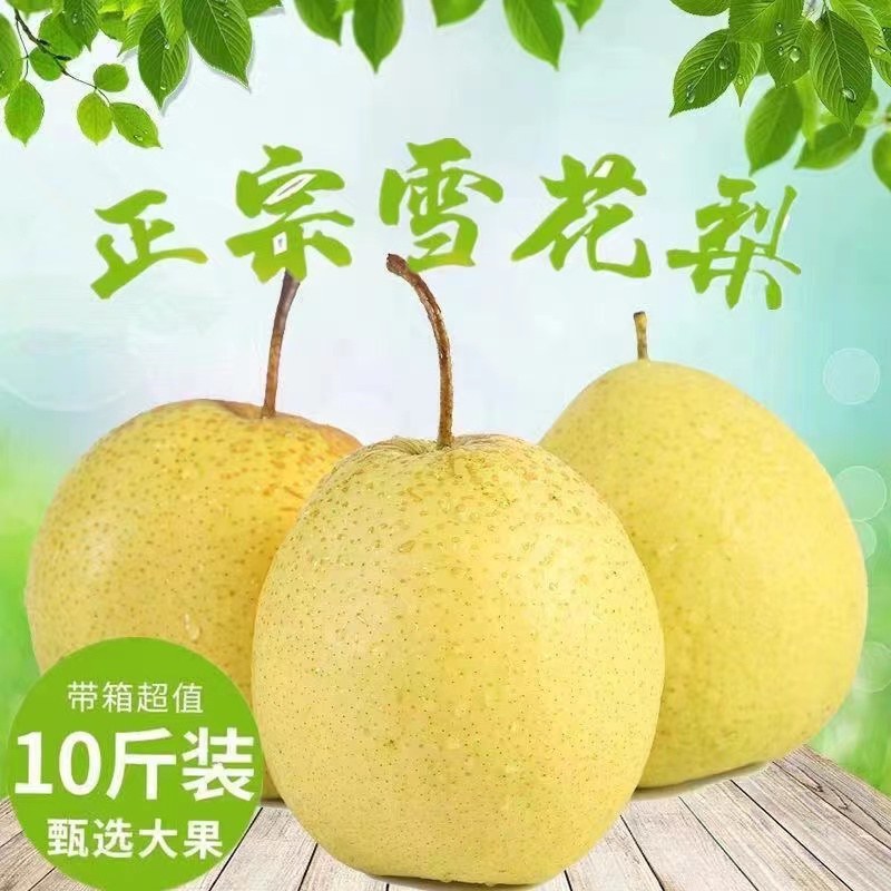 河北雪花梨，翠甜可口，货源充足，欢迎联系接商超市场电商