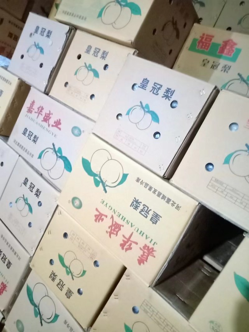 河北雪花梨，翠甜可口，货源充足，欢迎联系接商超市场电商