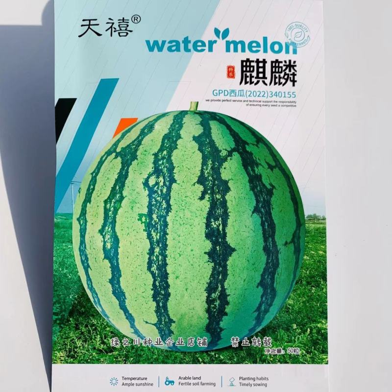 麒麟西瓜种子大红瓤小黑籽西瓜种子高糖质脆味甜麒麟瓜种子
