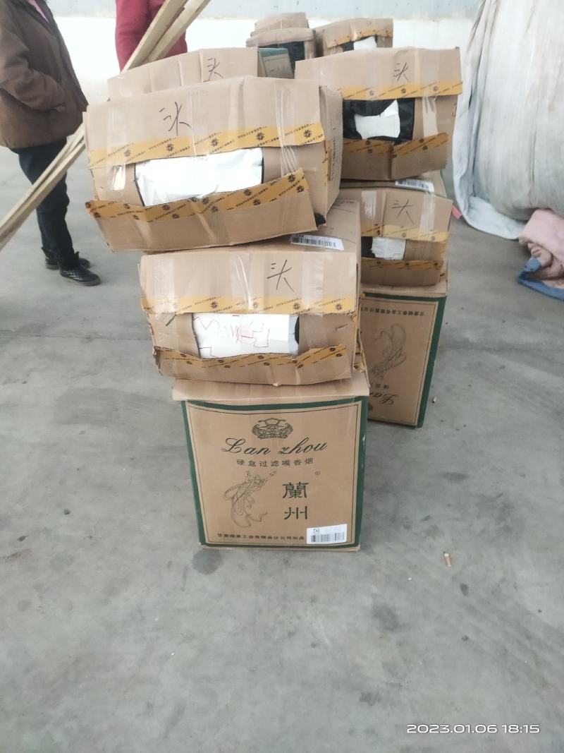 玉门韭菜批发甘肃玉门韭菜种植新鲜货源每天更新行情