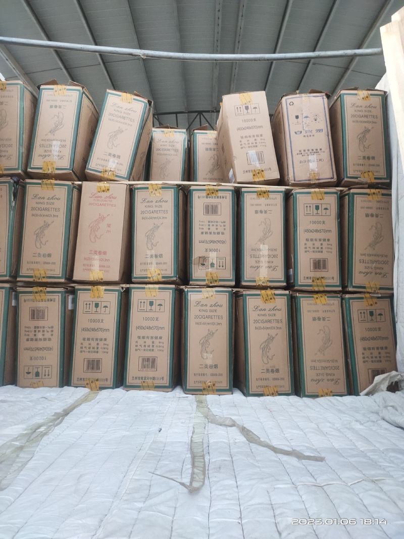 玉门韭菜批发甘肃玉门韭菜种植新鲜货源每天更新行情