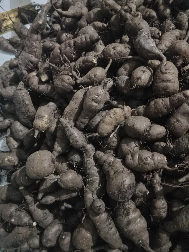 三叶青新鲜统货