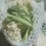 精品白面青梗有机松花菜单棵重量大约1.5~2.5斤