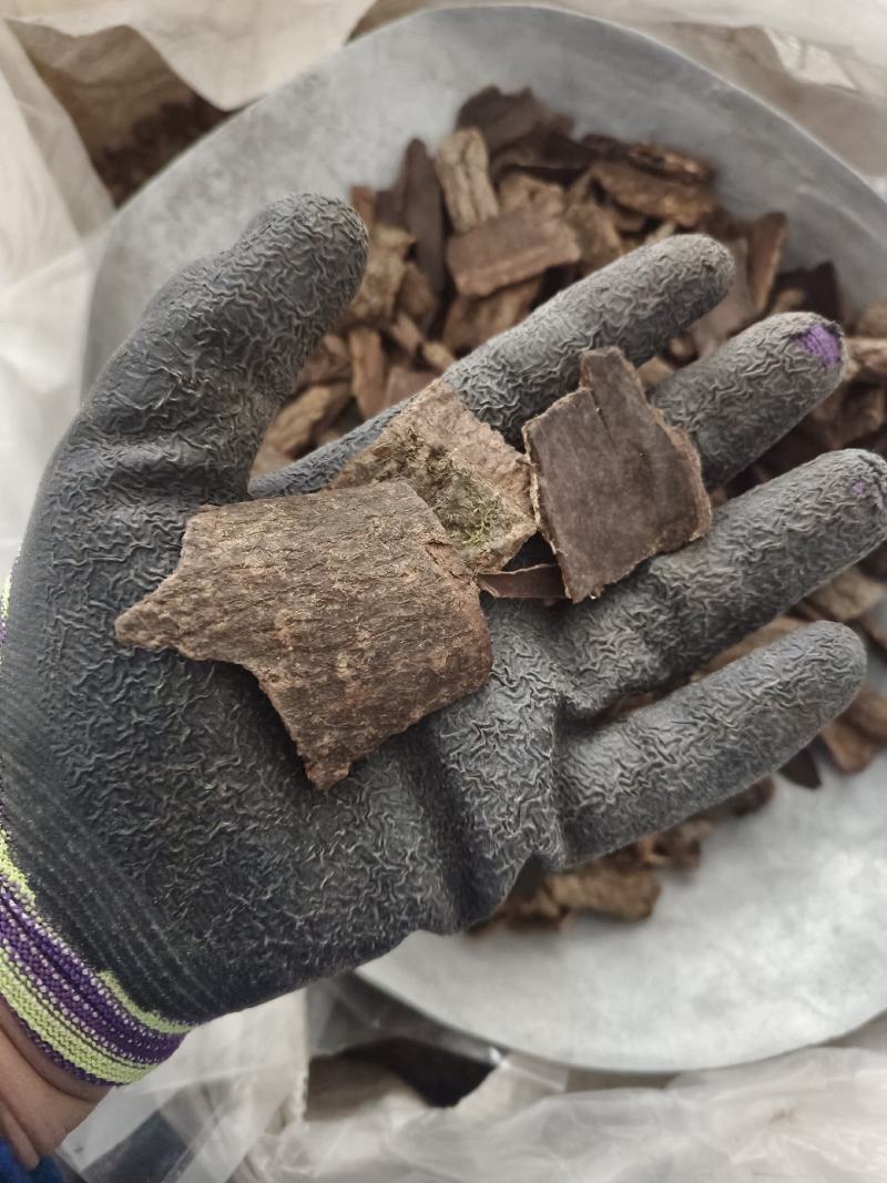 杜仲炒杜仲产地河南好统货永盛药业品种齐全质量好价格低