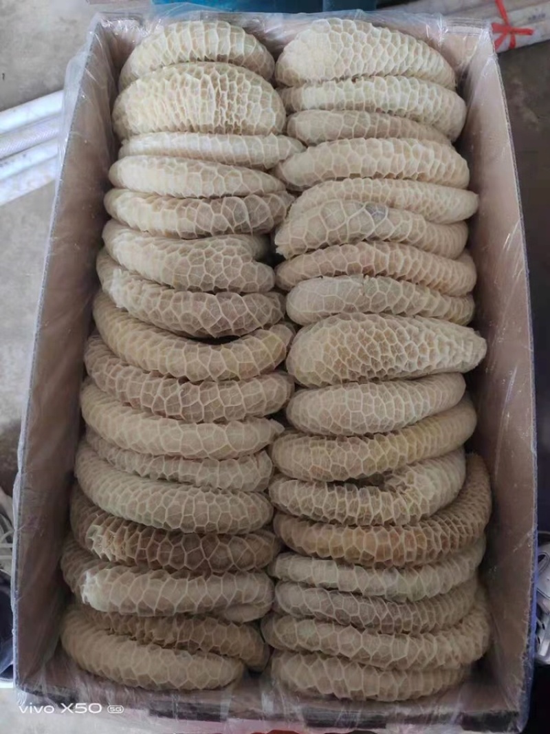【批发-40斤金钱肚】40斤半成品六七分熟金钱肚牛肚