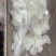 纯干鱼鳞