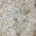 纯干鱼鳞