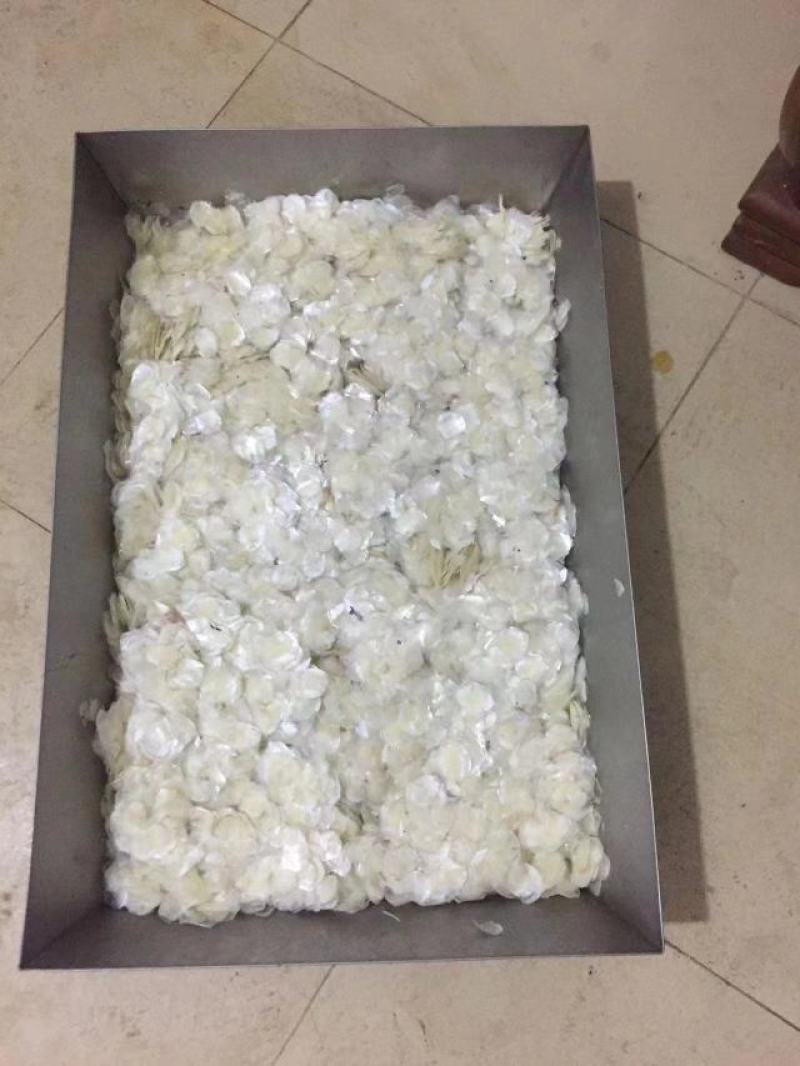 纯干鱼鳞