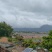 惠东九龙峰150亩水田出租，已平整，水源充足