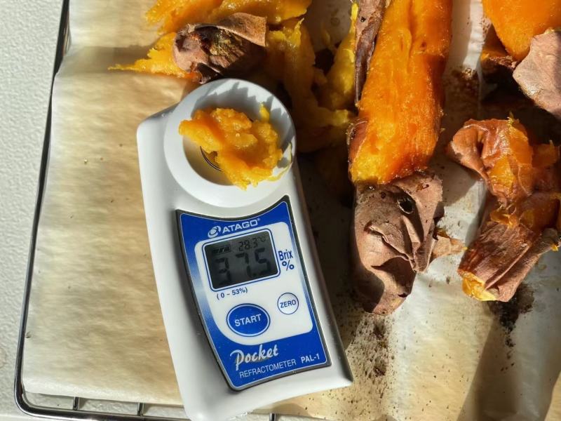 【推荐】烟薯25西瓜红紫薯基地一手货源保质保量全国发