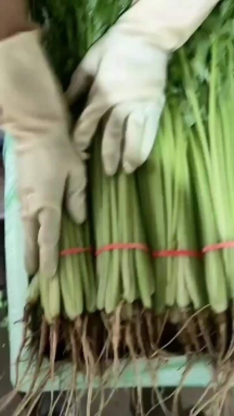 代购代销各种疏菜瓜果，需要的老板联系